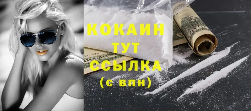 закладки  mega вход  Cocaine FishScale  Татарск 