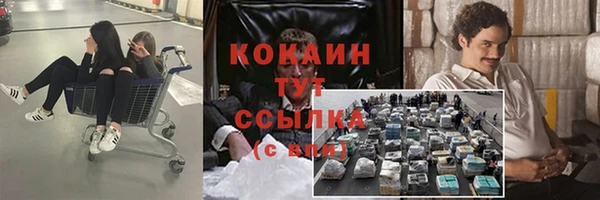соль курить ск Новодвинск