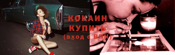 скорость Новозыбков