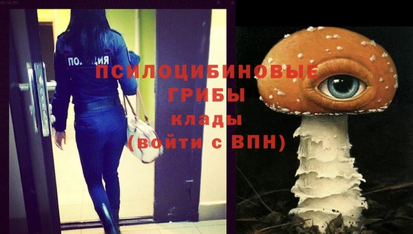 соль курить ск Новодвинск