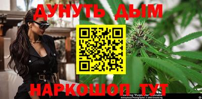 шишки Заводоуковск