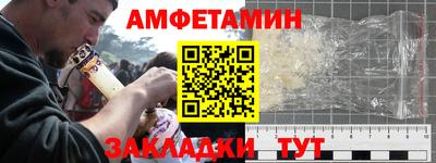 шишки Заводоуковск