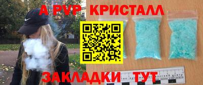 шишки Заводоуковск