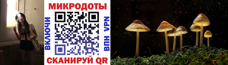 закладки  Татарск  кракен рабочий сайт  Псилоцибиновые грибы ЛСД 