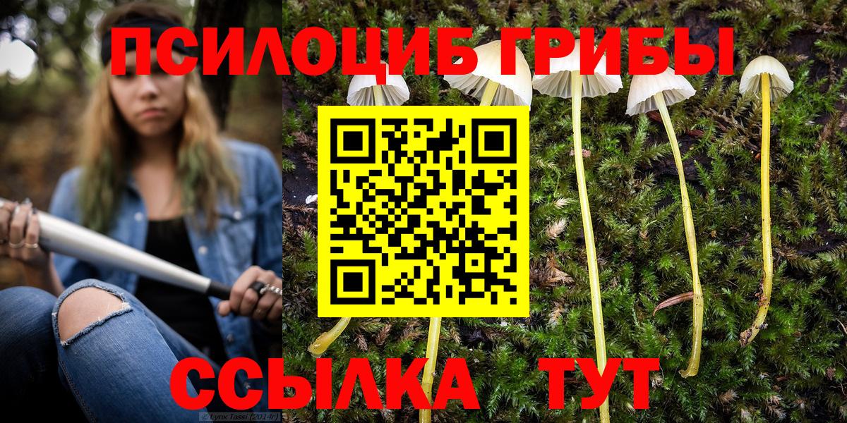 Псилоцибиновые грибы Cubensis  Псилоцибиновые грибы мухоморы  Вход с VPN  Татарск 